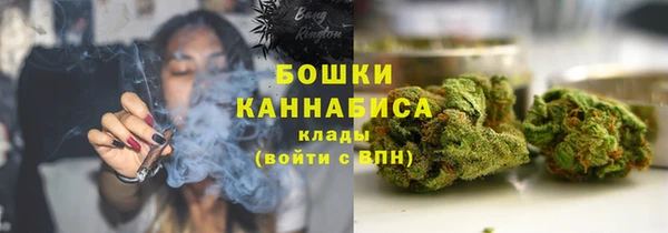 ГАЛЛЮЦИНОГЕННЫЕ ГРИБЫ Волосово
