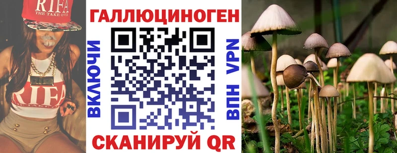 Псилоцибиновые грибы Psilocybe сколько стоит Гаврилов-Ям